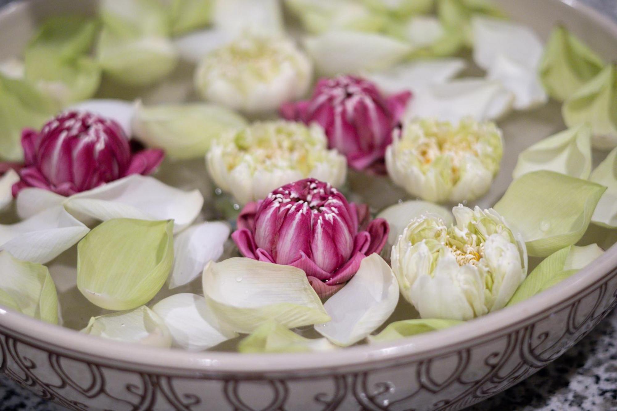 Two Seasons Siem Reap Hotel Exterior foto Thai lotus flowers